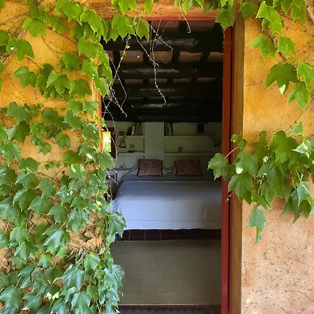 Casa Regas Villa *