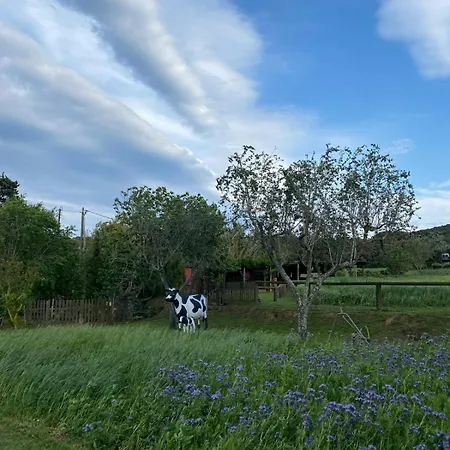 Casa Regas Villa